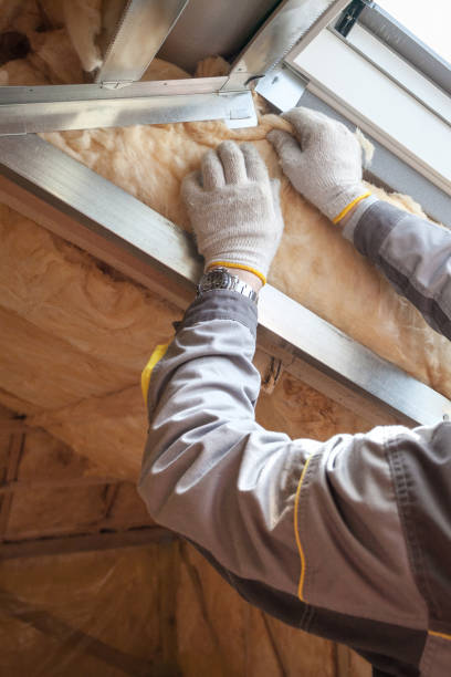 Best Commercial Insulation in Arizona City, AZ