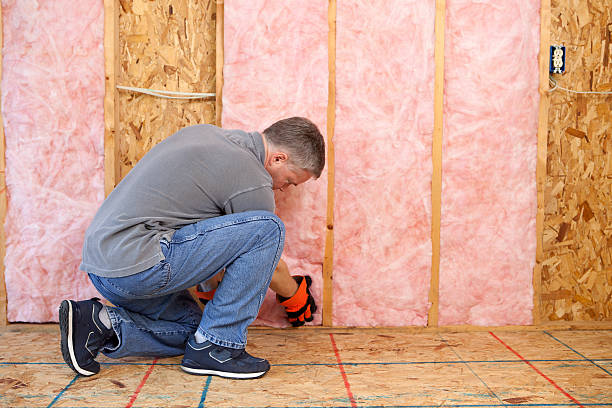 Best Geographic-Specific Insulation Services in Arizona City, AZ